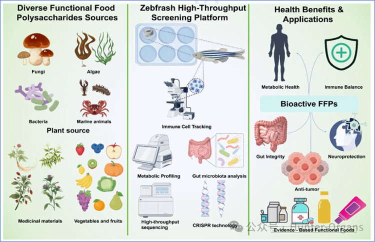 1772248997275032.jpg 1.jpg