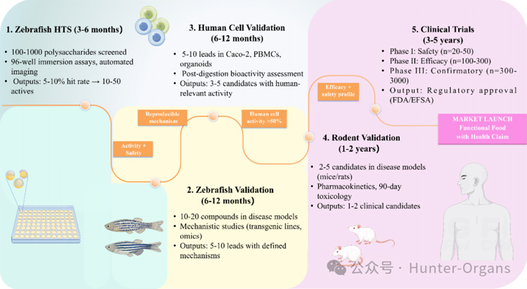 1772249008160750.jpg 11.jpg