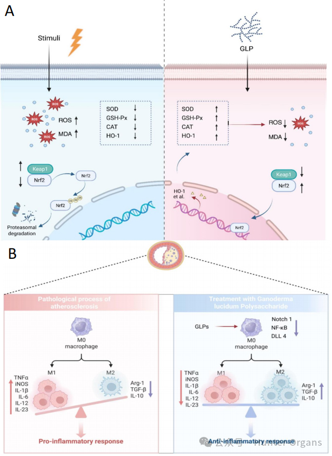 1772249011761626.jpg 10.jpg