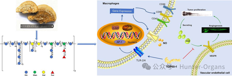 1772249016145142.jpg 9.jpg