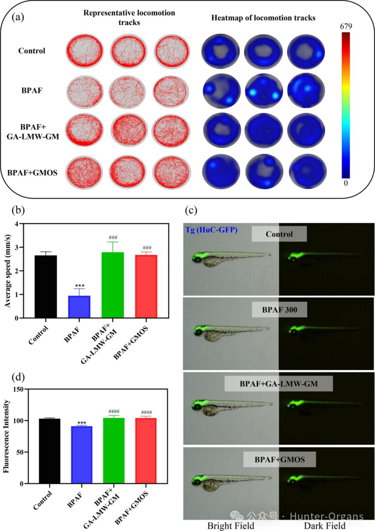 1772249020177017.jpg 8.jpg