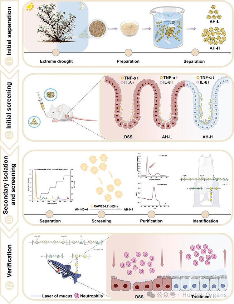 1772249023833324.jpg 7.jpg