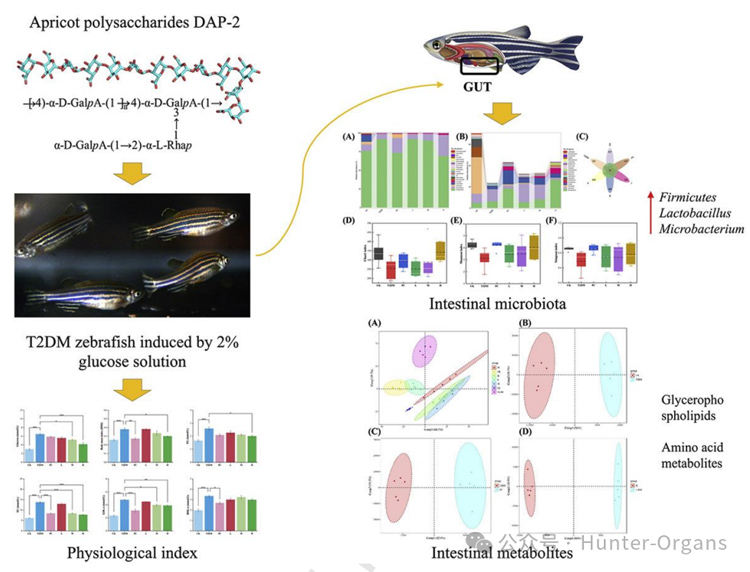 1772249027168993.jpg 6.jpg