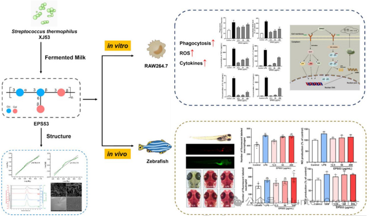 1772249030172031.jpg 5.jpg