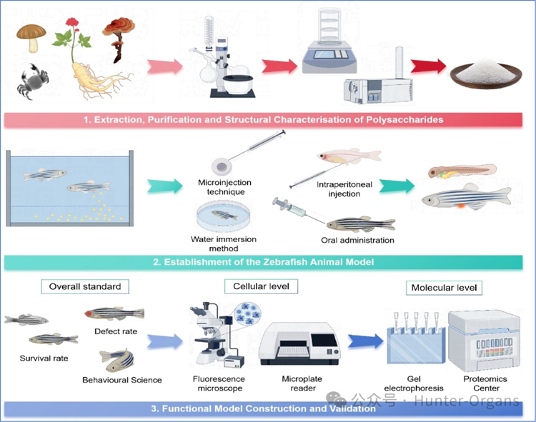 1772249037809207.jpg 3.jpg