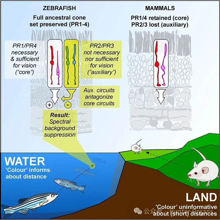 1772249100197343.jpg 10.jpg