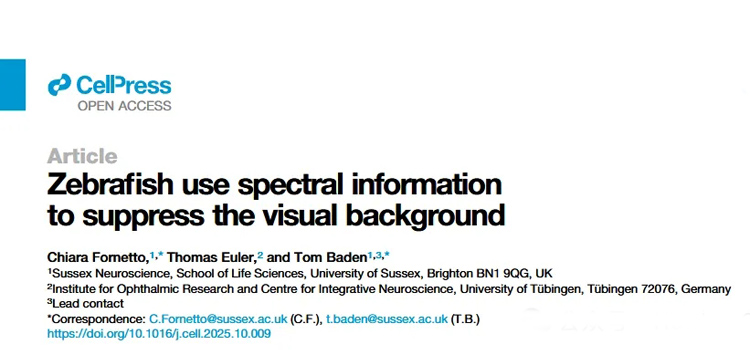 1772249104170220.jpg 9.jpg