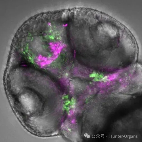 1772249108214480.jpg 8.jpg