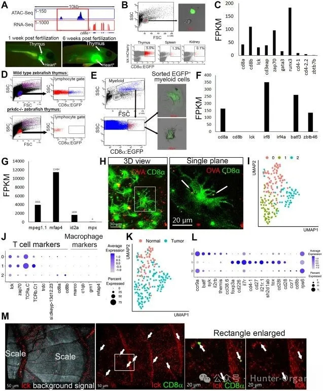 1772249113153803.jpg 6.jpg