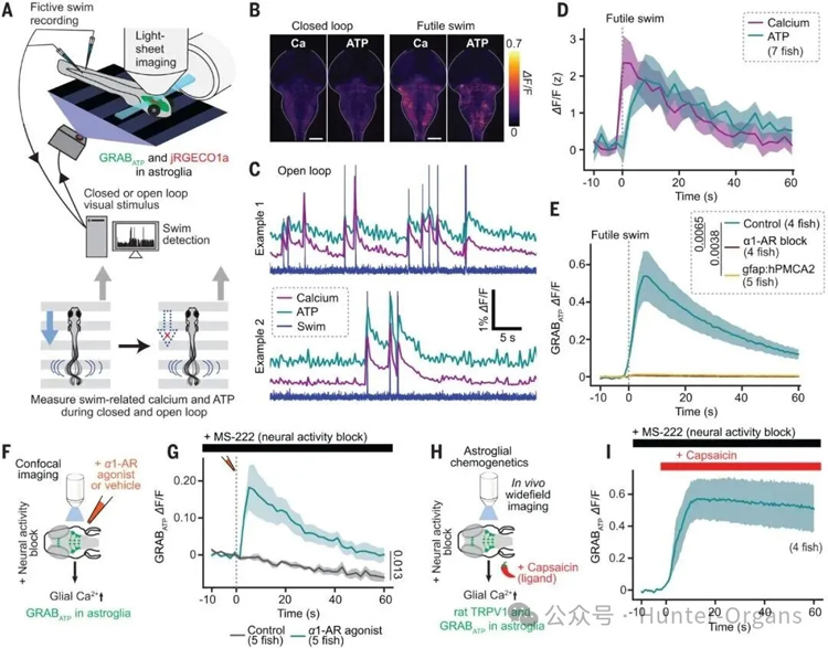 1772249122163873.jpg 4.jpg