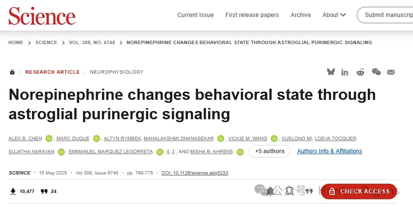 1772249126199457.jpg 3.jpg