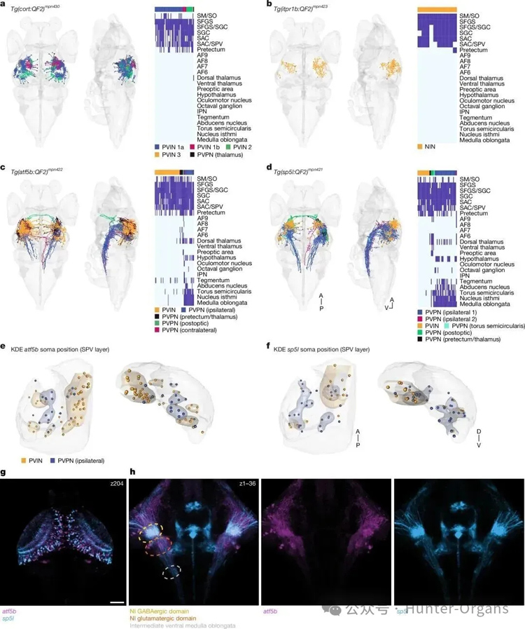 1772249129207539.jpg 2.jpg