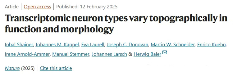 1772249134277538.jpg 1.jpg